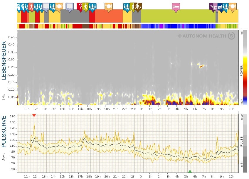 beachtlicher Erschöpfungsschlaf im Lebensfeuer Spektrogramm